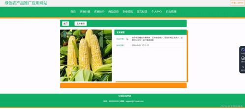 基于SSM框架的綠色農產品推廣應用網站開發實踐